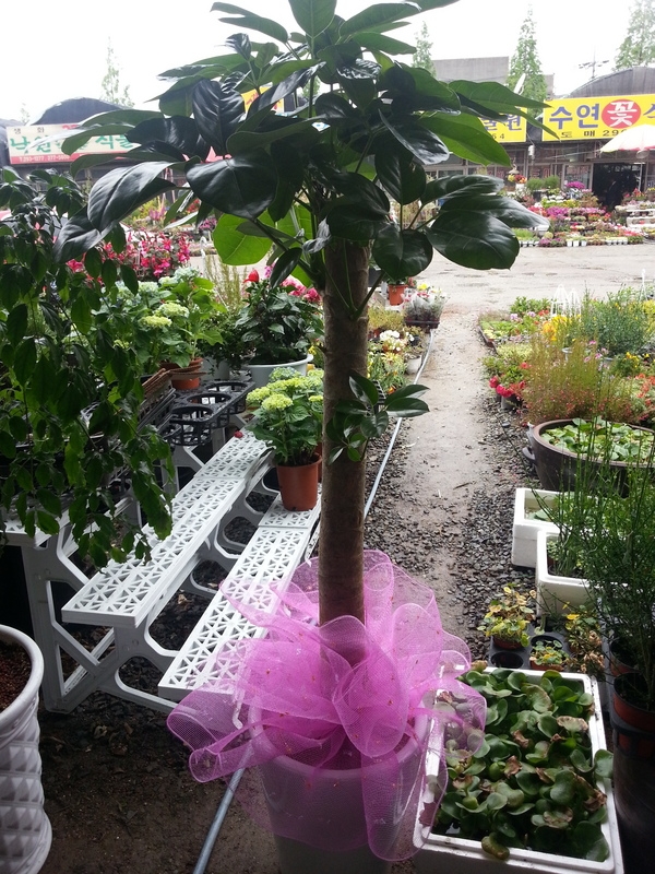 05-8~9����̳�