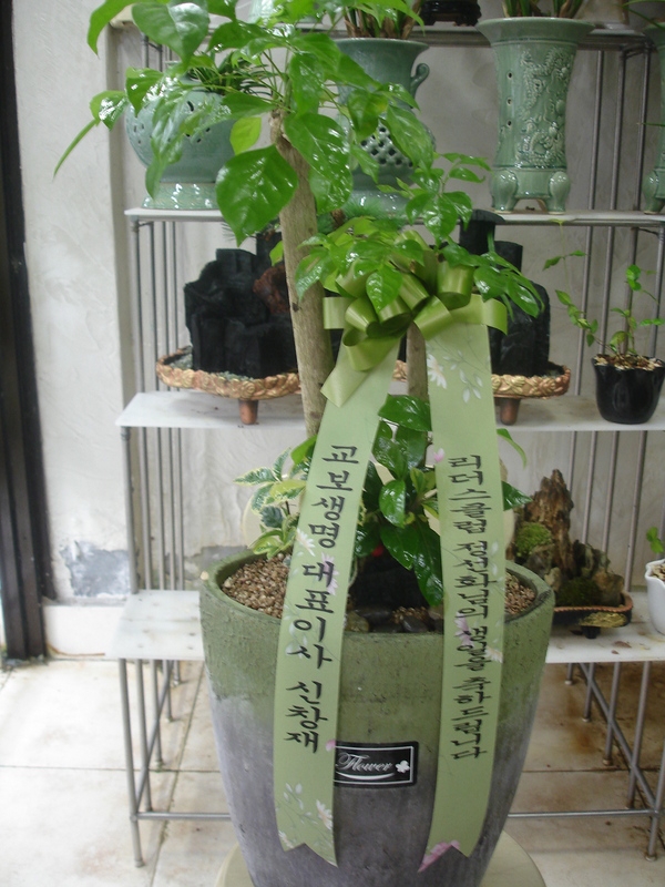 05-8~9����̳�