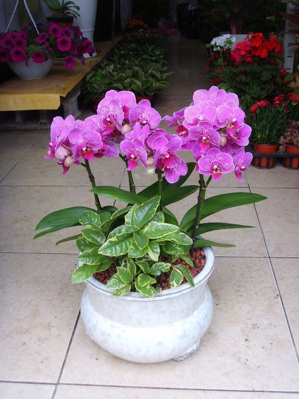 05-8~9����̳�