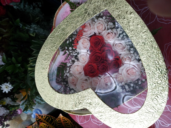 ��Ʈ����