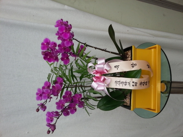 6��6��(������)