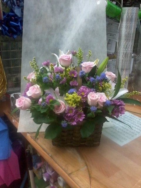 6��6��(������)