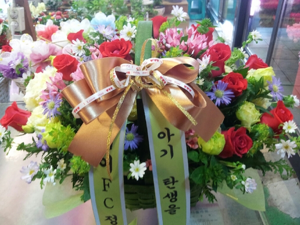 6��6��(������)