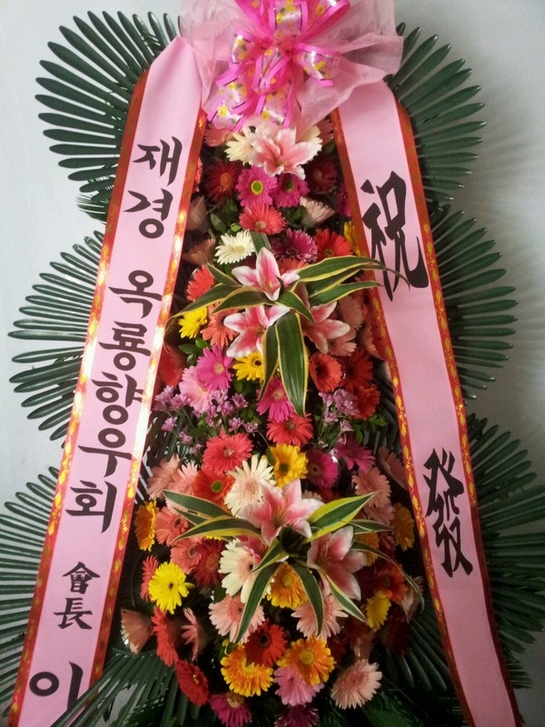 6��6��(������)