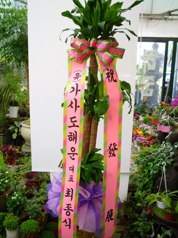 6��6��(������)