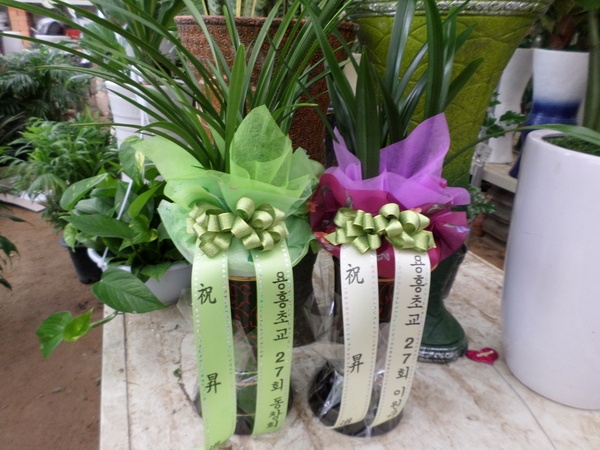 6��6��(������)