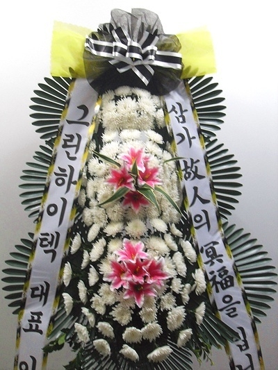 6��6��(������)