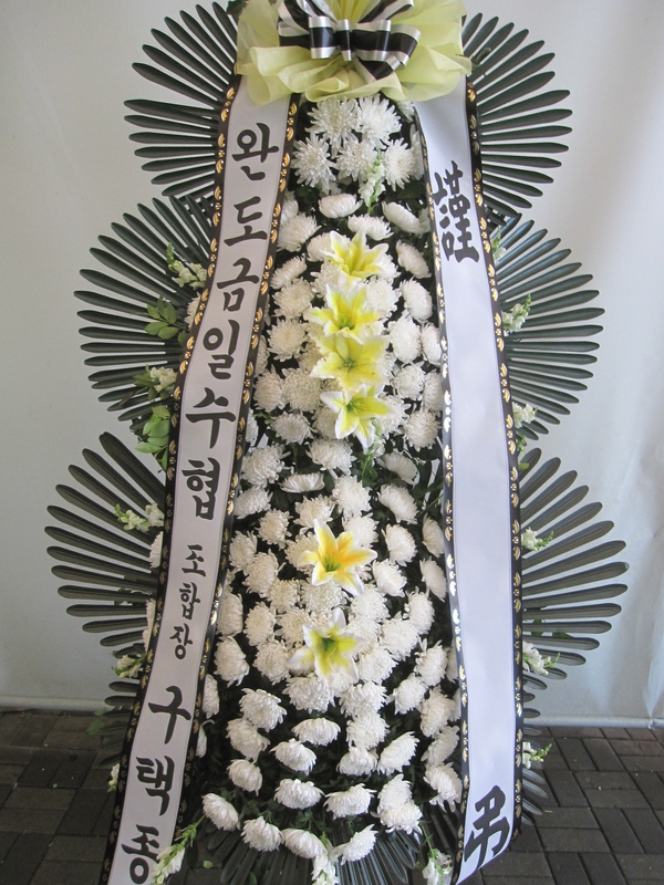 6��6��(������)