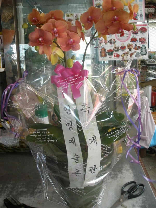 6��6��(������)