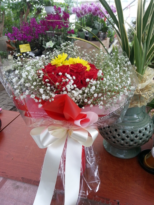 6��6��(������)