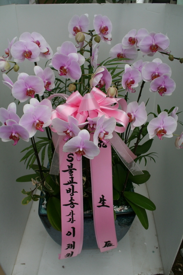 6��7��(��)