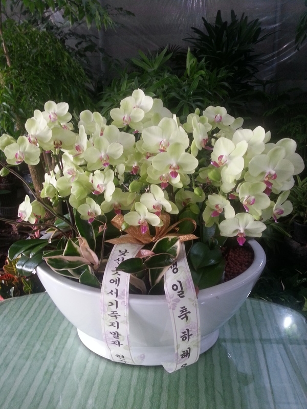 6��7��(��)