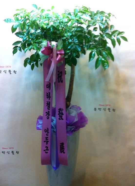 6��7��(��)