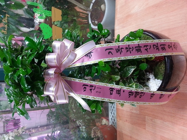 6��7��(��)