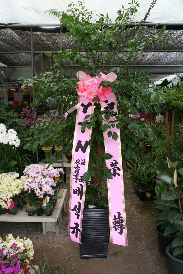 6��7��(��)