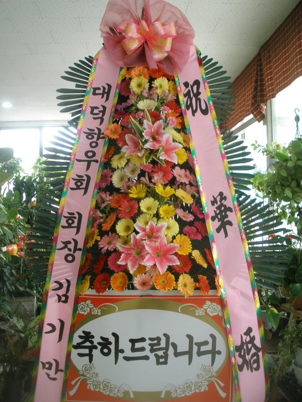 6��7��(��)