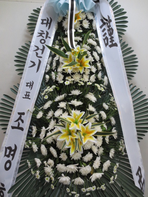 6��7��(��)