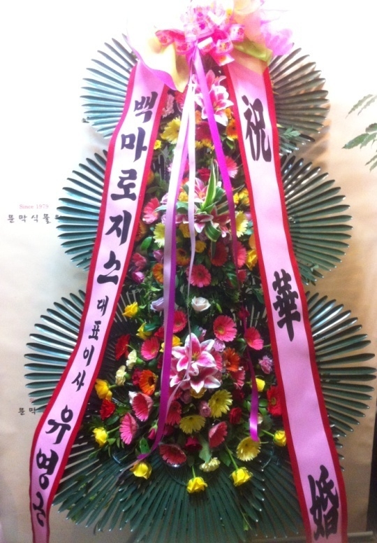 6��7��(��)