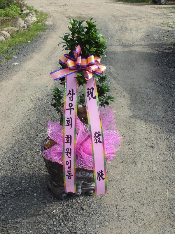 6��7��(��)