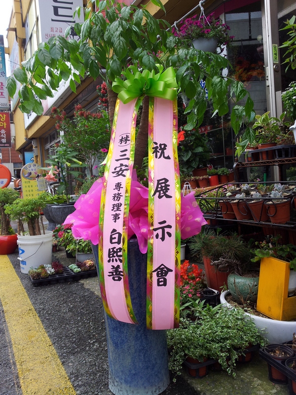 6��13��(��)