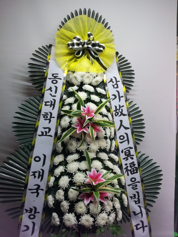 6��13��(��)