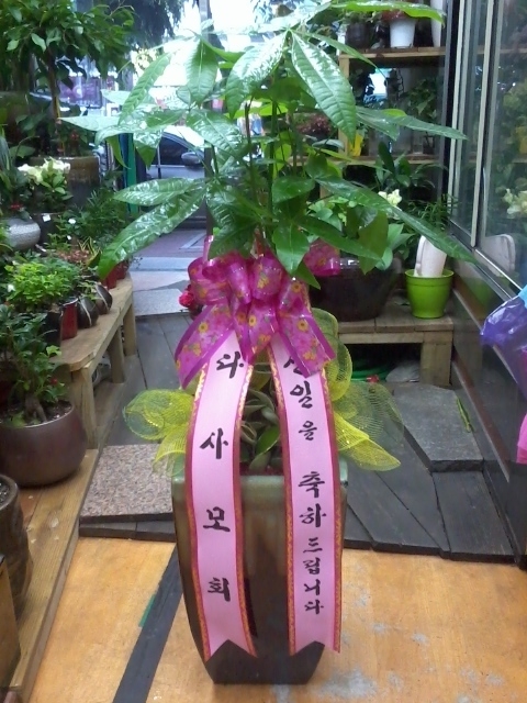 6��13��(��)