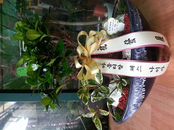 6��13��(��)