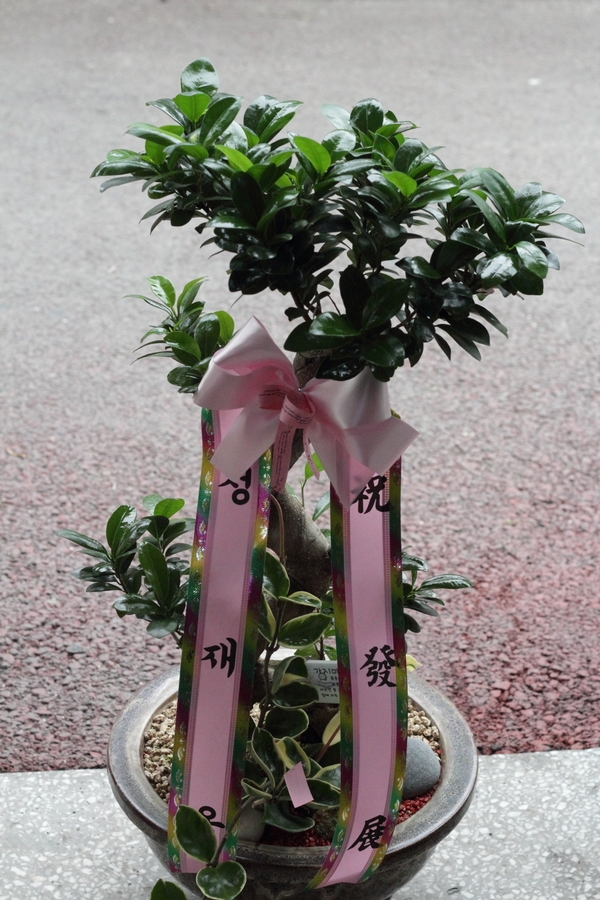 6��13��(��)