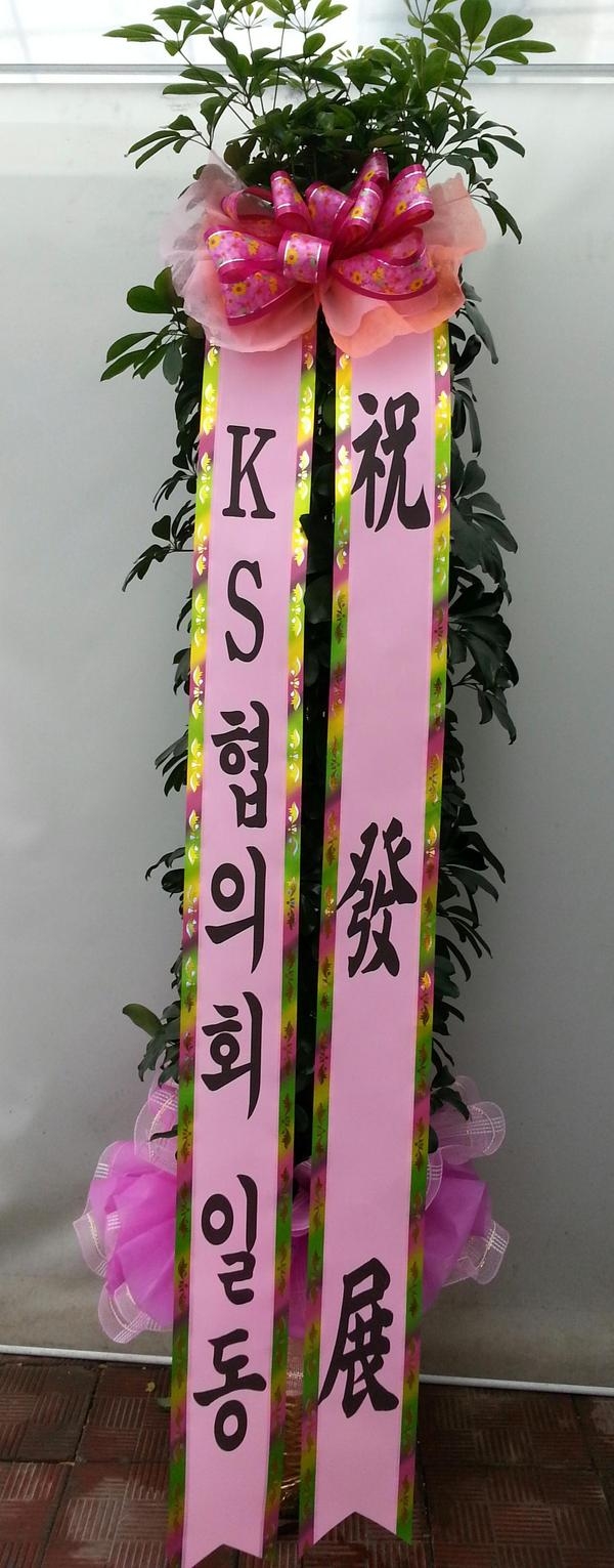 6��13��(��)