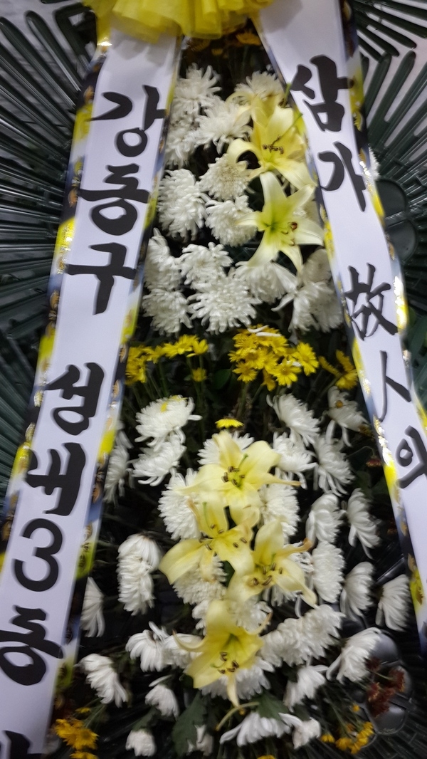 6��13��(��)