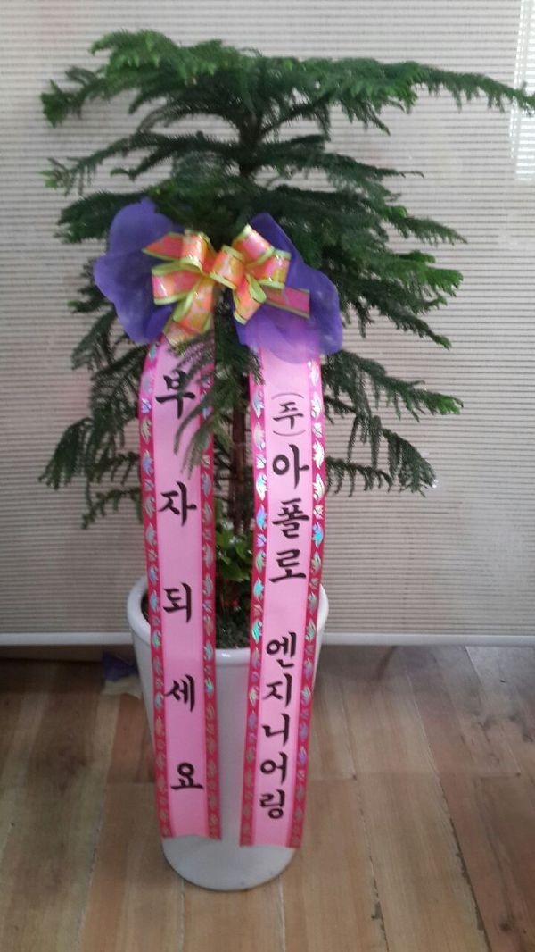 6��13��(��)