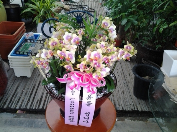 6��13��(��)