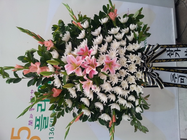 6��13��(��)