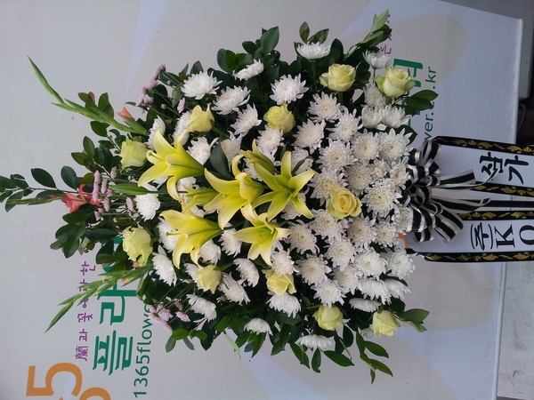 6��13��(��)