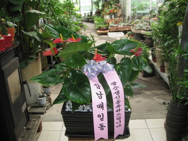 6��13��(��)