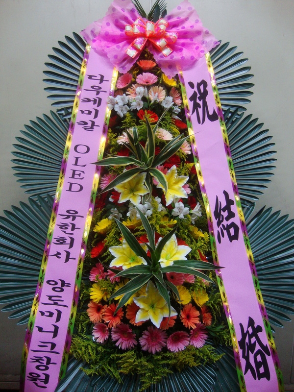 6��16��(��)