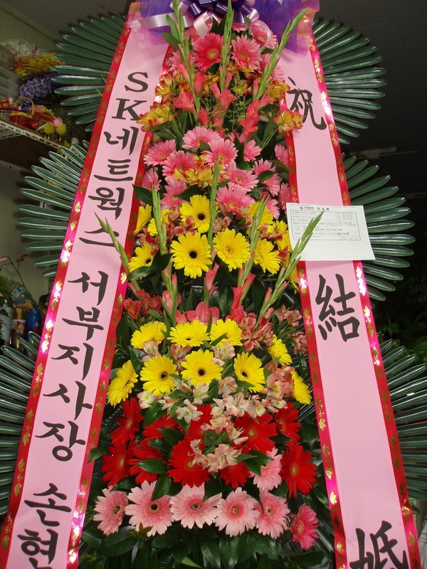 6��16��(��)