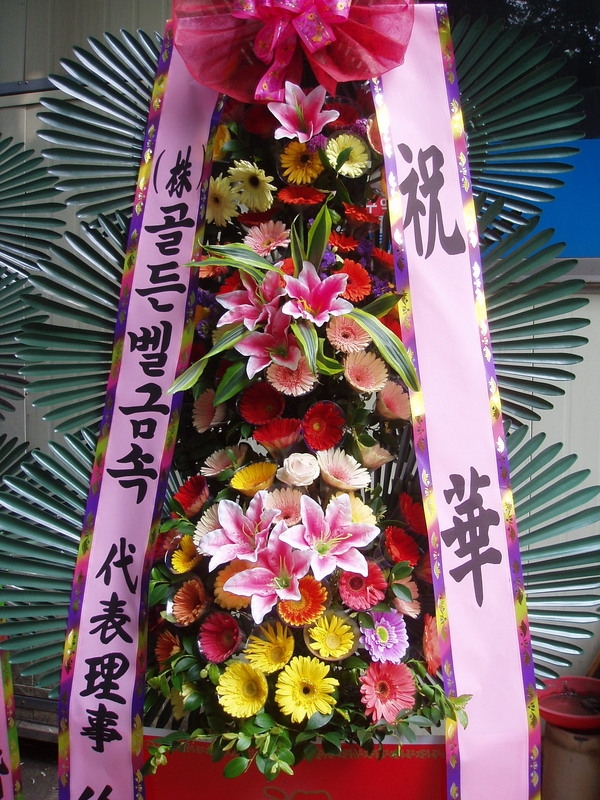 6��16��(��)