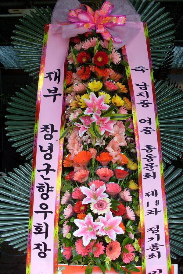 7��6��(��)