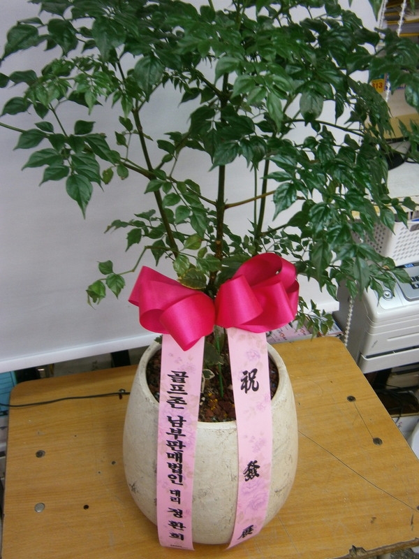 7��6��(��)