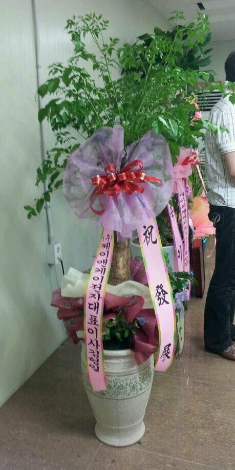 7��7��(�Ͽ���)