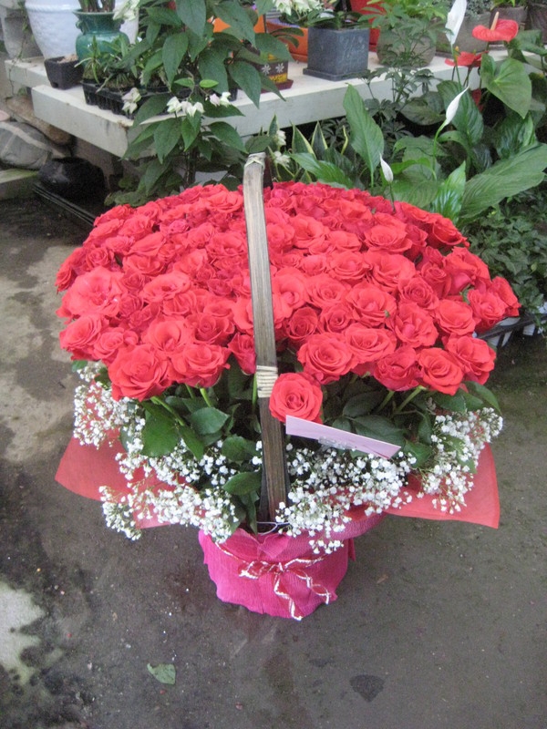 7��7��(�Ͽ���)