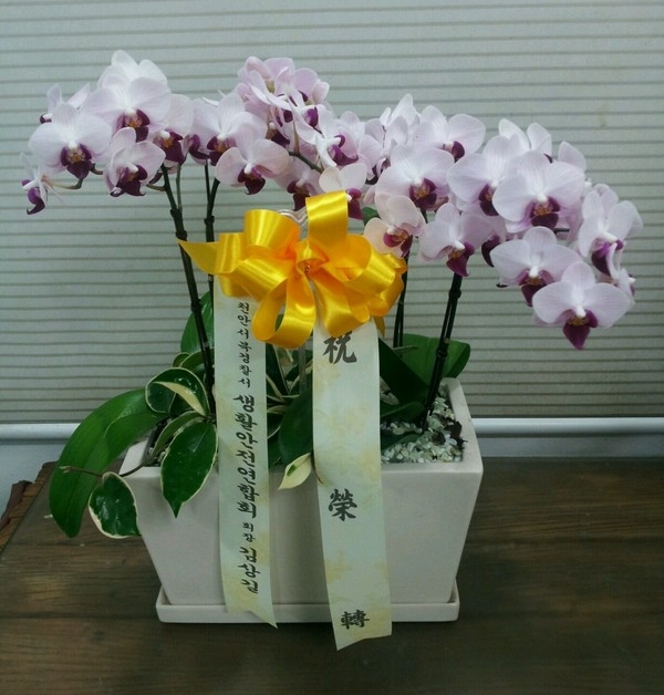 7��7��(�Ͽ���)