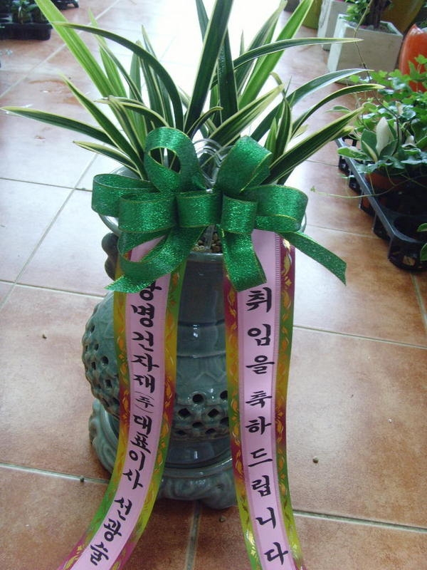 7��7��(�Ͽ���)