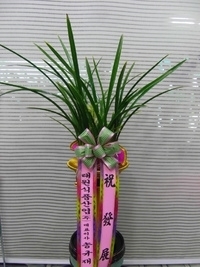 7��12��(�ݿ���)