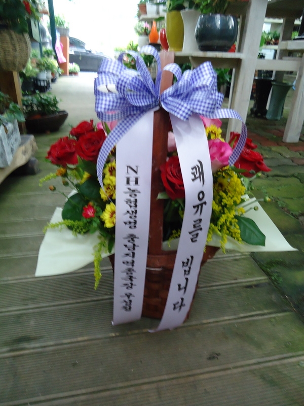 7��12��(�ݿ���)