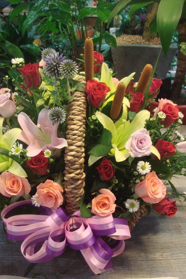 7��12��(�ݿ���)