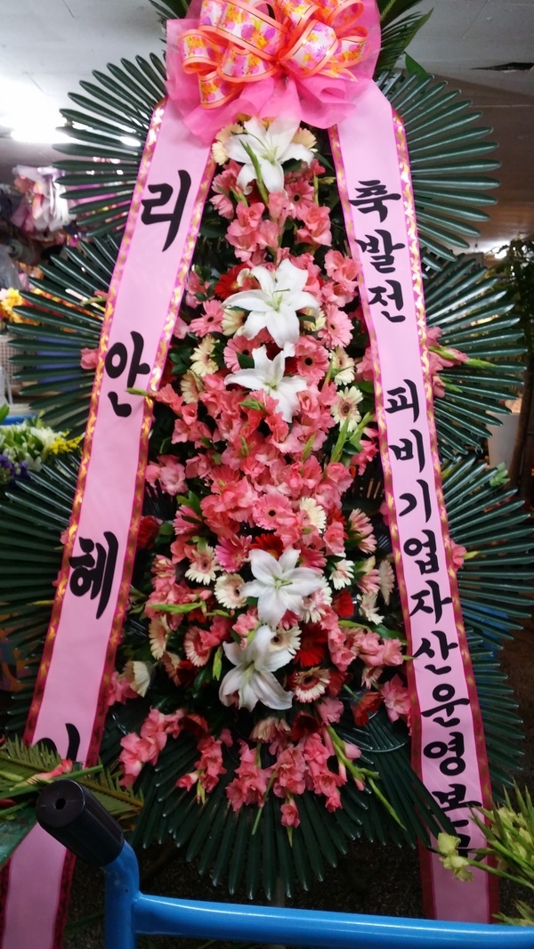 7��12��(�ݿ���)