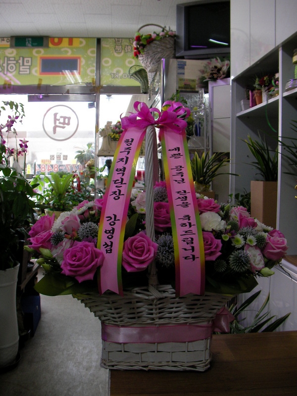 7��12��(�ݿ���)