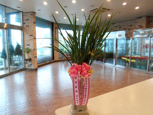 7��12��(�ݿ���)